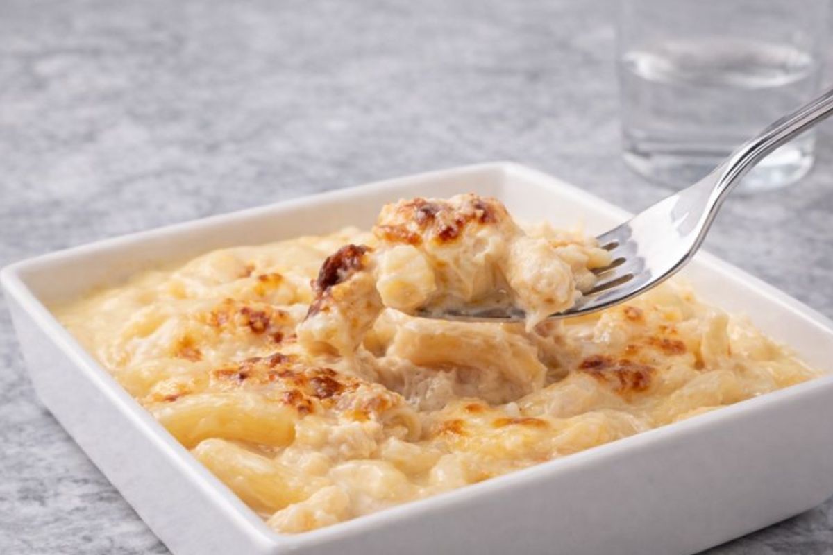 Macarrão ao Molho Branco com Frango Cremoso